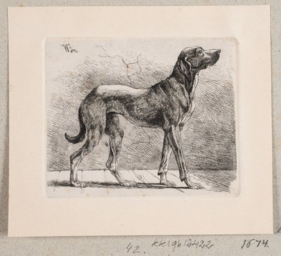 Un chien debout - Johannes Wilhelm Zillen