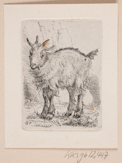 Un chevreau - Johannes Wilhelm Zillen