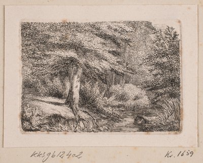 Paysage forestier - Johannes Wilhelm Zillen