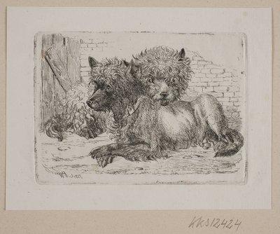 Deux chiens couchés - Johannes Wilhelm Zillen