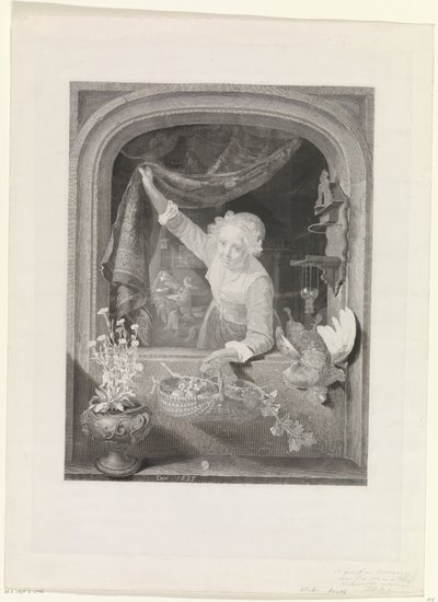 Femme avec panier de fruits à la main près de la fenêtre - Johannes de Mare