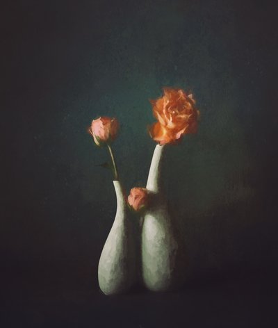 Vases « Moody Rose » - John-Mei Zhong