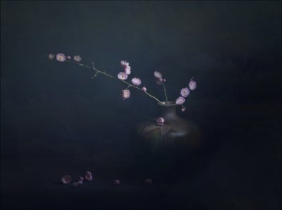 Nature morte aux fleurs de prunier - John-Mei Zhong