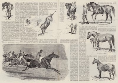 La carrière d
