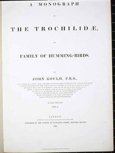 Frontispice - John (after) Gould