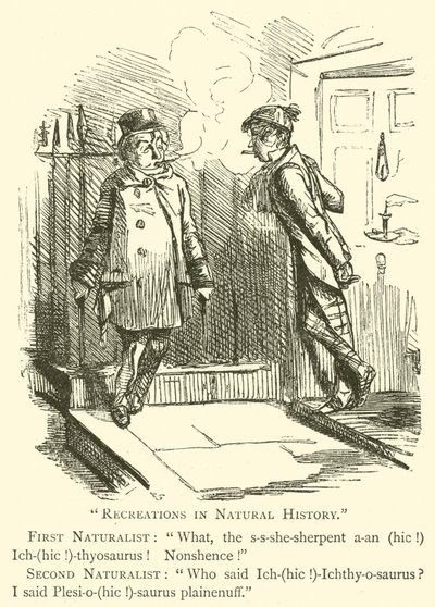 Récréations en histoire naturelle (gravure) - John (after) Leech