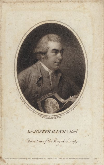 Sir Joseph Banks, naturaliste, botaniste et président de la Royal Society (gravure) - John (after) Russell