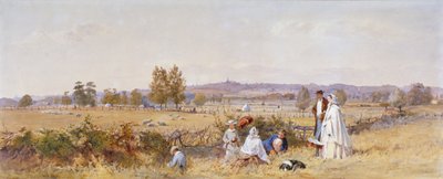 Champs à l