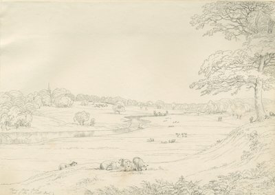 Parc de Great Barr - John Allport