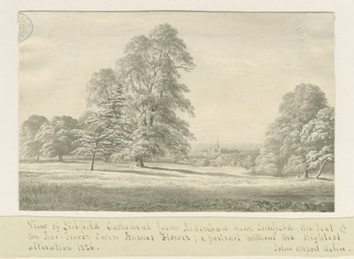 Cathédrale de Lichfield - Vue depuis Aldershaw (lointaine) : dessin sépia - John Allport