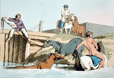 Chevaux se baignant, gravé par l