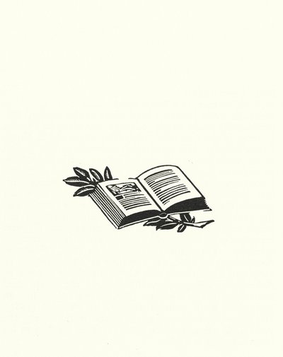 Illustration pour Madame Bovary de Gustave Flaubert - John Austen