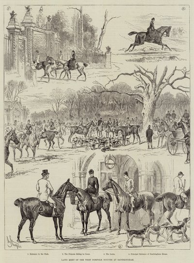 Rassemblement sur la pelouse des chiens de chasse de West Norfolk à Sandringham - John Bagnold Burgess