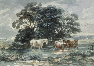 Paysage, deux vaches et un cheval debout dans l
