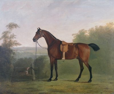 Un chasseur bai dans un paysage - John Boultbee