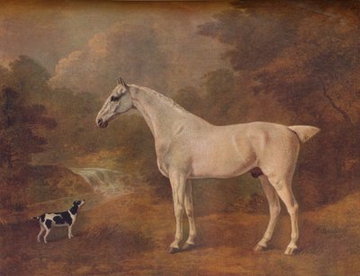 Un gris piqué de puces et un terrier tacheté, 1803 - John Boultbee