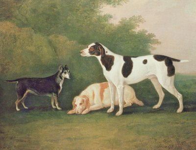 Trois chiens dans un paysage - John Boultbee