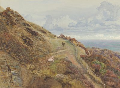 Bonchurch Downs, 1865 - John Brett