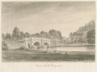 Pont de Wolseley - John Buckler