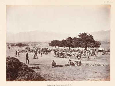 Camp de Safed Sang - John Burke
