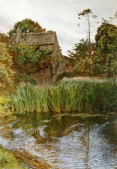 Un jardin d