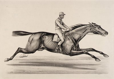 Empereur de Norfolk - John Cameron