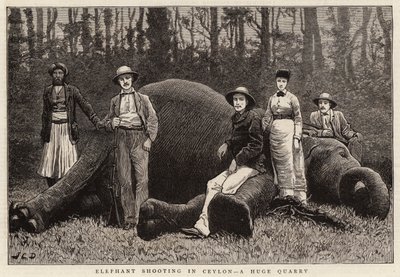 Chasse à l