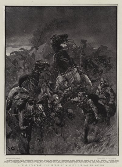 Une ruée sauvage, l
