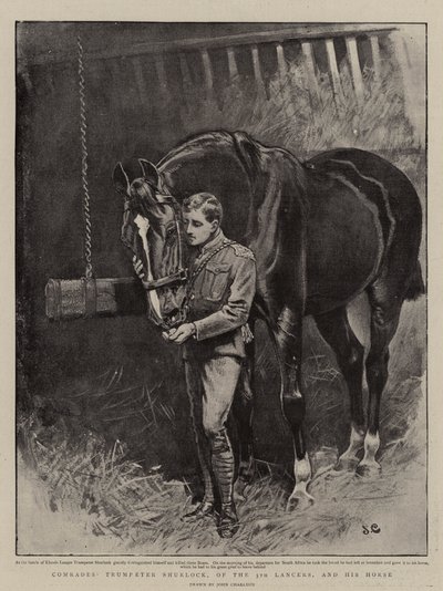 Camarades, le trompette Shurlock, des 5e lanciers, et son cheval - John Charlton