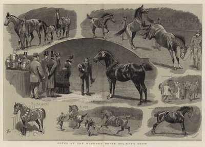 Notes au salon de la Hackney Horse Society - John Charlton