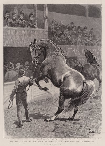La Visite Royale au Salon des Chasseurs et Pur-sang à Islington - John Charlton