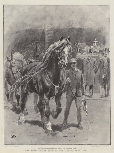 Le Salon du Cheval de Trait à l