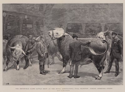 Le Salon du Bétail du Smithfield Club au Royal Agricultural Hall, Islington, jugement des Bœufs Hereford - John Charlton