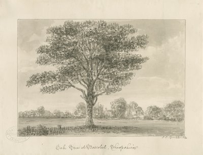 Boscobel - Le Chêne Royal - John Chessell Buckler