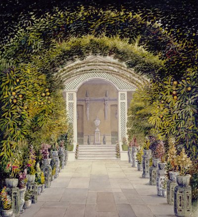 La serre à Bromley Hill, Kent - John Chessell Buckler