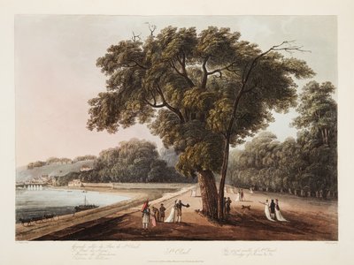 Saint-Cloud, La Grande Allée de Saint-Cloud, Le Pont de Sèvres, etc., illustration de Versailles, Paris et Saint Denis, pub. 1805 - John Claude Nattes