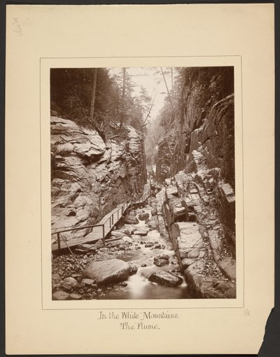Dans les montagnes blanches/The Flume - John Coates Browne