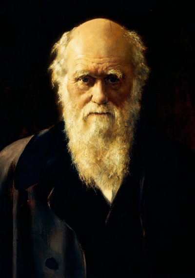 Portrait de Charles Darwin - John Collier