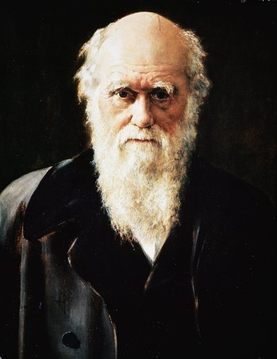 Portrait du naturaliste anglais Charles Darwin (détail) - John Collier