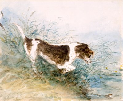 Un chien regardant un rat dans l