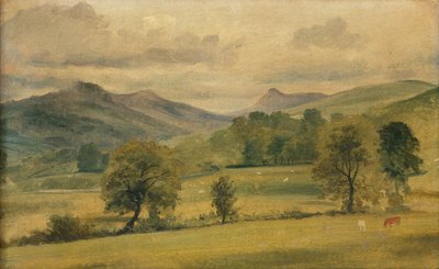 Vue dans le District des Lacs - John Constable