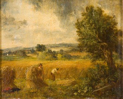 Un champ de maïs - John Constable