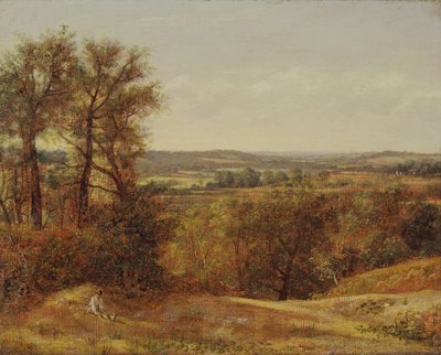 Vallée de Dedham - John Constable