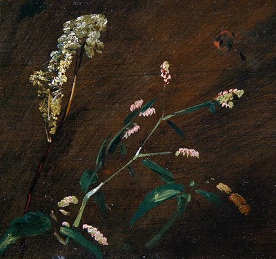 Études de fleurs : Persicaria et Reine-des-prés - John Constable