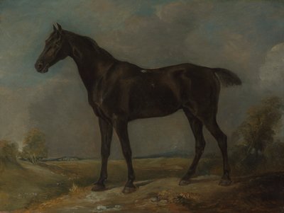 Le Cheval Noir de Golding Constable - John Constable