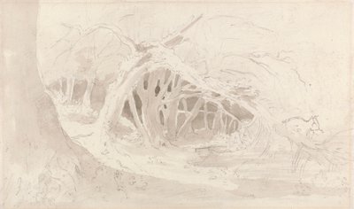 Helmingham : La piscine silencieuse - John Constable
