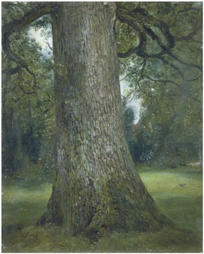Étude du tronc d