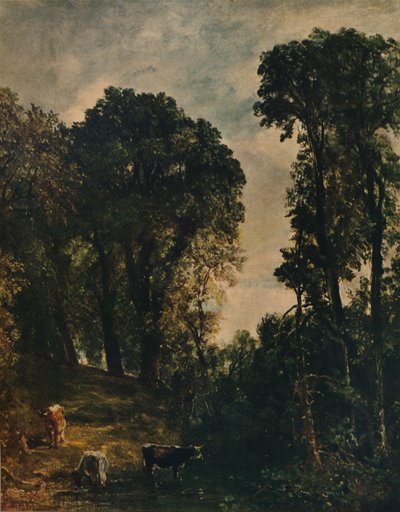 Arbres près de l