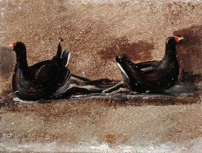 Deux poules d