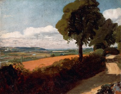 Vue d